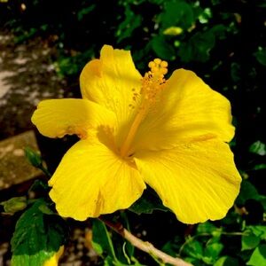 Meet your Posher, Claudette